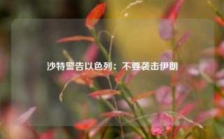 沙特警告以色列：不要袭击伊朗