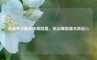 消费电子概念冲高回落，东山精密跳水跌近5%