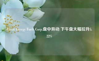 Clean Energy Fuels Corp.盘中异动 下午盘大幅拉升5.22%