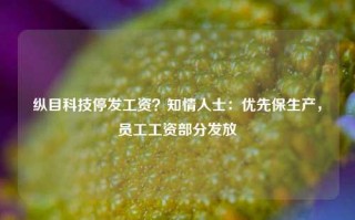 纵目科技停发工资？知情人士：优先保生产，员工工资部分发放