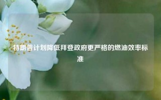 特朗普计划降低拜登政府更严格的燃油效率标准