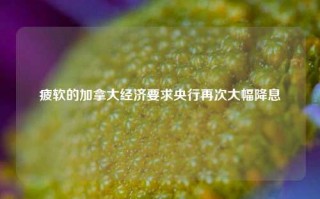 疲软的加拿大经济要求央行再次大幅降息