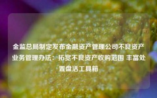 金监总局制定发布金融资产管理公司不良资产业务管理办法：拓宽不良资产收购范围 丰富处置盘活工具箱