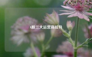 A股三大运营商拉升