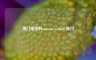 澳门馆资料common project 澳门