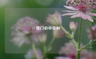 澳门必中资料