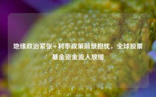 地缘政治紧张+利率政策前景担忧，全球股票基金资金流入放缓