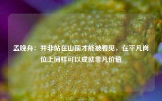 孟晚舟：并非站在山顶才能被看见，在平凡岗位上同样可以成就非凡价值