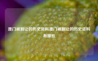 澳门被割让的历史资料澳门被割让的历史资料有哪些