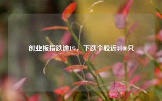 创业板指跌逾1%，下跌个股近3800只