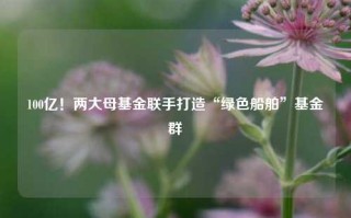 100亿！两大母基金联手打造“绿色船舶”基金群