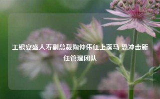 工银安盛人寿副总裁陶仲伟任上落马 恐冲击新任管理团队