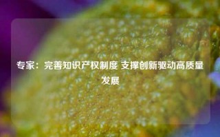 专家：完善知识产权制度 支撑创新驱动高质量发展