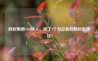 蚂蚁集团CEO换人，做了9个月总裁的韩歆毅接任