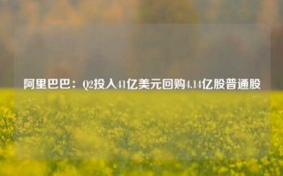 阿里巴巴：Q2投入41亿美元回购4.14亿股普通股