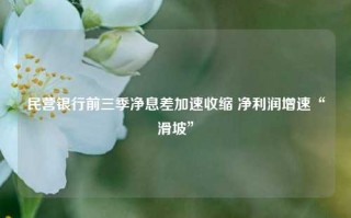 民营银行前三季净息差加速收缩 净利润增速“滑坡”