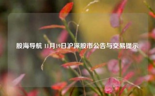 股海导航 11月19日沪深股市公告与交易提示