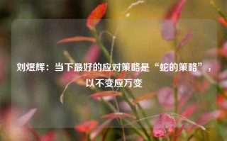 刘煜辉：当下最好的应对策略是“蛇的策略”，以不变应万变