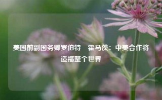 美国前副国务卿罗伯特•霍马茨：中美合作将造福整个世界