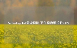 Nu Holdings Ltd.盘中异动 下午盘急速拉升5.00%