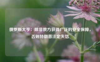 俄罗斯大亨：除非俄方获得广泛的安全保障，否则特朗普注定失信