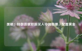 美银：特朗普就职前买入中国股票，配置黄金