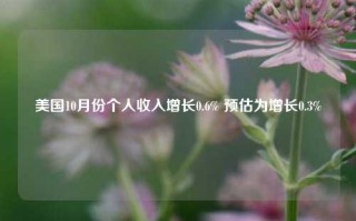 美国10月份个人收入增长0.6% 预估为增长0.3%