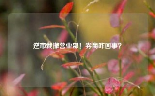 逆市裁撤营业部！券商咋回事？