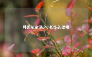 韩国制定保护小股东的提案