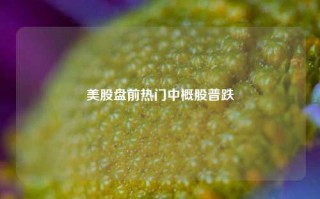 美股盘前热门中概股普跌