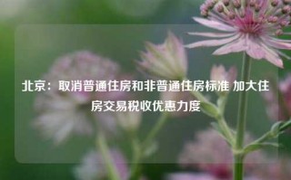 北京：取消普通住房和非普通住房标准 加大住房交易税收优惠力度