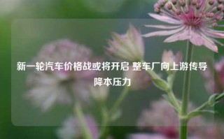 新一轮汽车价格战或将开启 整车厂向上游传导降本压力