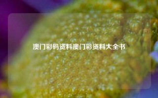 澳门彩码资料澳门彩资料大全书