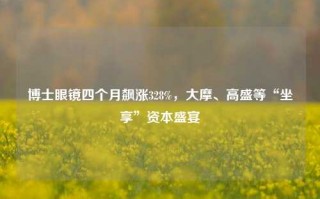 博士眼镜四个月飙涨328%，大摩、高盛等“坐享”资本盛宴