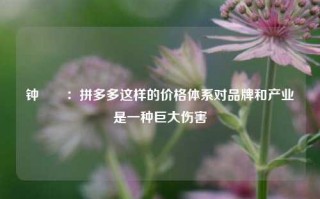 钟睒睒：拼多多这样的价格体系对品牌和产业是一种巨大伤害