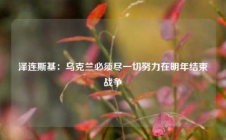 泽连斯基：乌克兰必须尽一切努力在明年结束战争