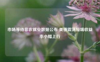 市场等待非农就业数据公布 美债震荡短端收益率小幅上行