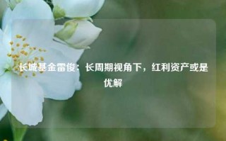 长城基金雷俊：长周期视角下，红利资产或是优解