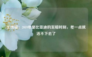 王传福：2019年是比亚迪的至暗时刻，差一点就活不下去了