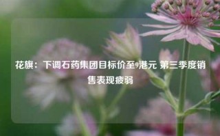 花旗：下调石药集团目标价至9港元 第三季度销售表现疲弱