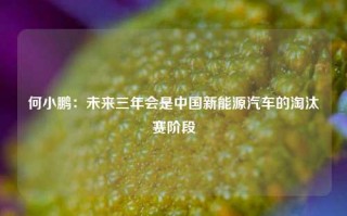 何小鹏：未来三年会是中国新能源汽车的淘汰赛阶段