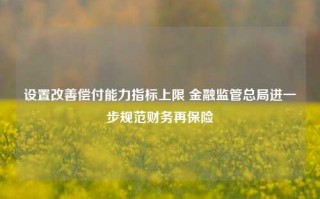 设置改善偿付能力指标上限 金融监管总局进一步规范财务再保险