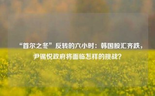 “首尔之冬”反转的六小时：韩国股汇齐跌，尹锡悦政府将面临怎样的挑战？