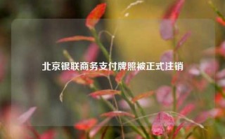 北京银联商务支付牌照被正式注销