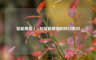 智能周报｜o1和智能眼镜的风口依旧