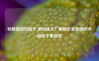 特朗普回归前夕 美科技大厂据称正紧急囤积中国电子零部件