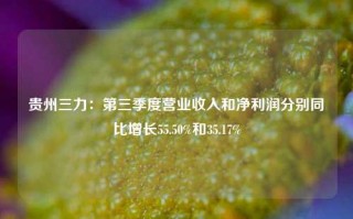 贵州三力：第三季度营业收入和净利润分别同比增长55.50%和35.17%