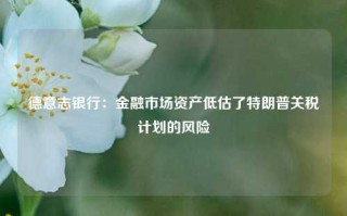 德意志银行：金融市场资产低估了特朗普关税计划的风险