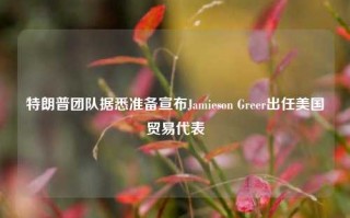 特朗普团队据悉准备宣布Jamieson Greer出任美国贸易代表