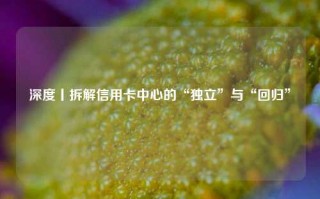 深度丨拆解信用卡中心的“独立”与“回归”